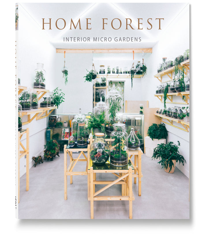 Home Forest